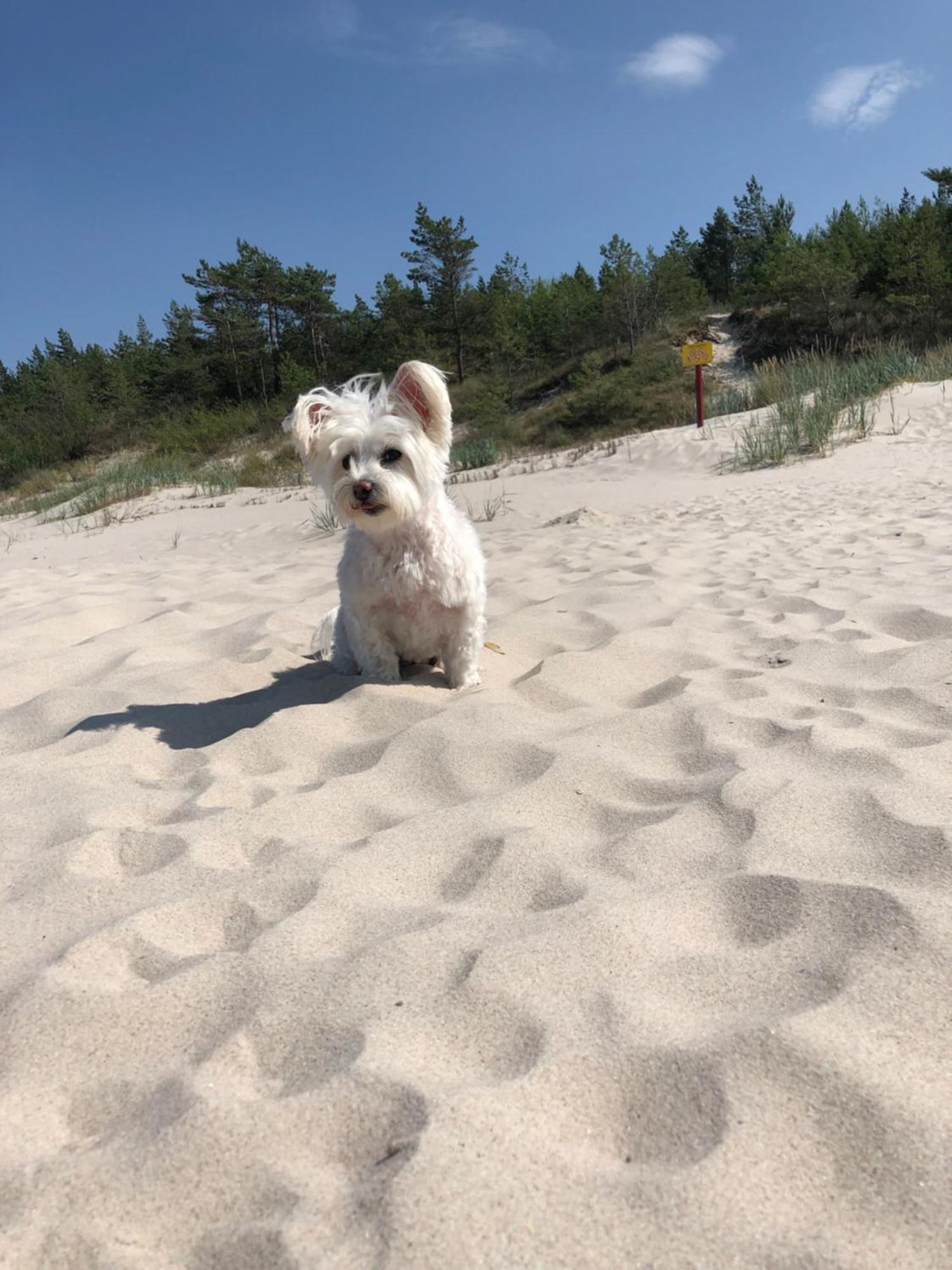 Baltic Holidays Gąski Zewnętrze zdjęcie